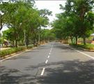 Central Avenue Mahindra World City 
