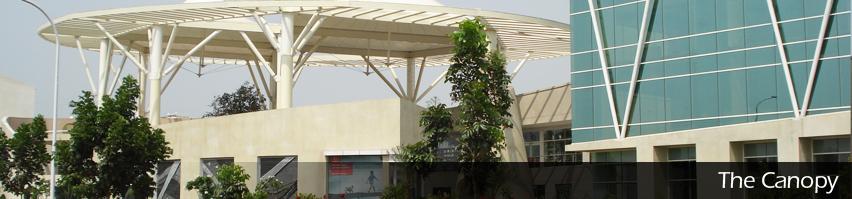 The Canopy